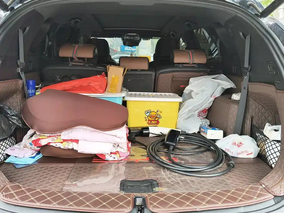 BYD TANG NEW ENERGY 2021