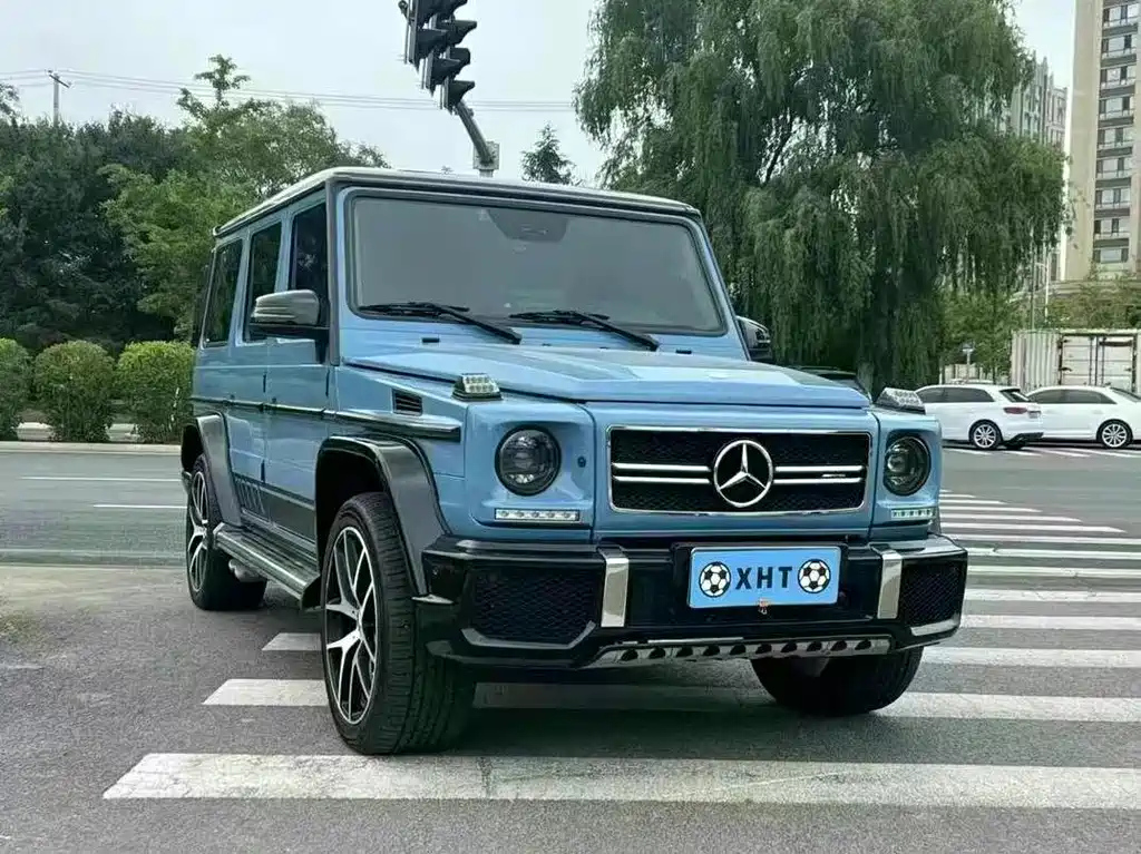 MERCEDES BENZ G-CLASS 2010