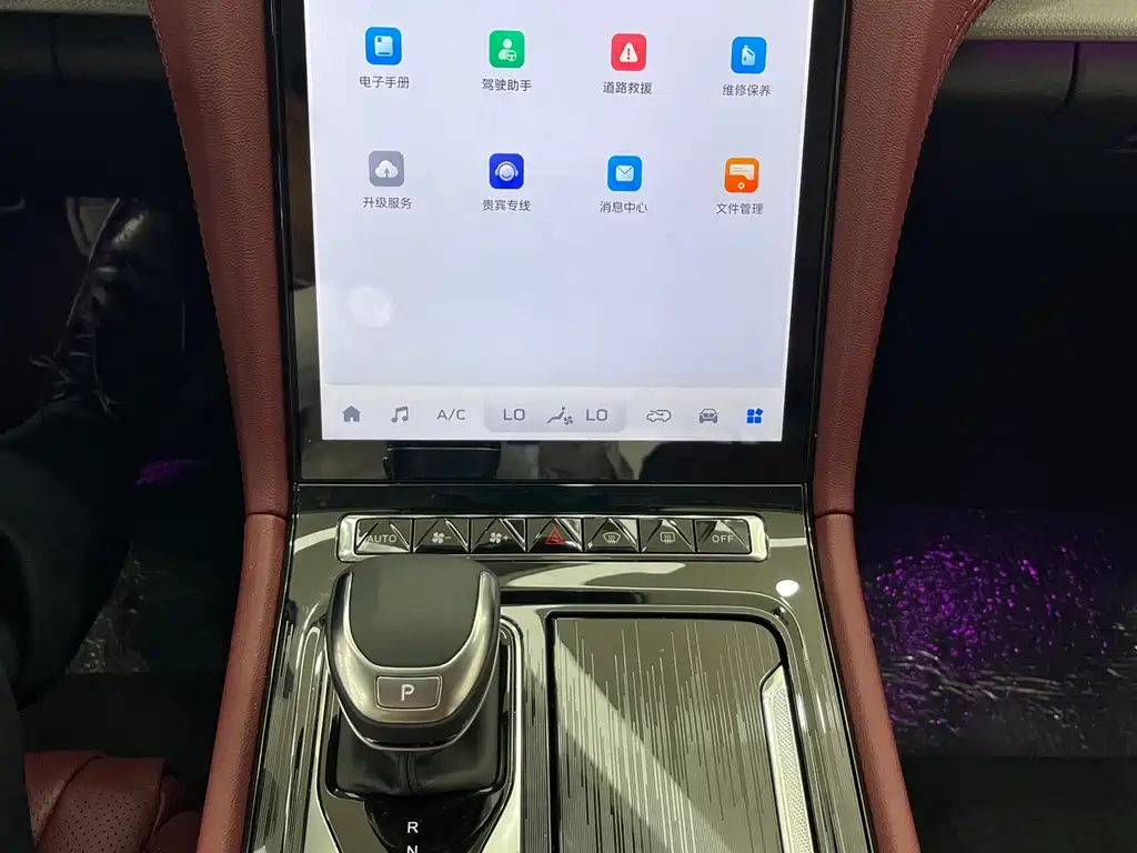 HONGQI H5 2024
