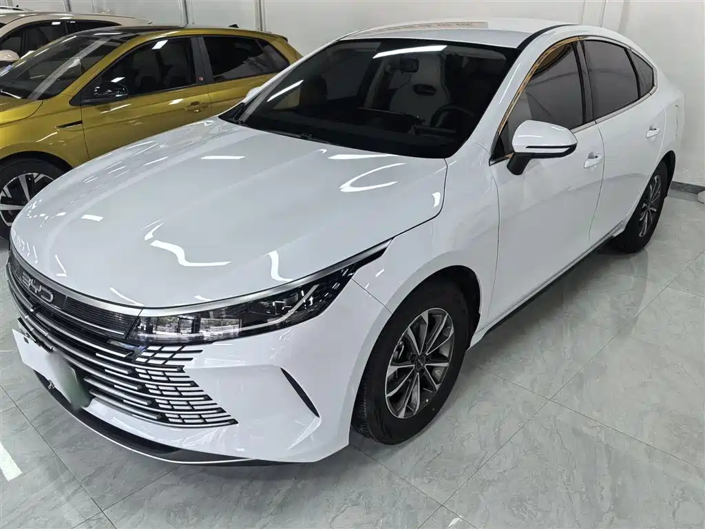 BYD DESTROYER 05 2024