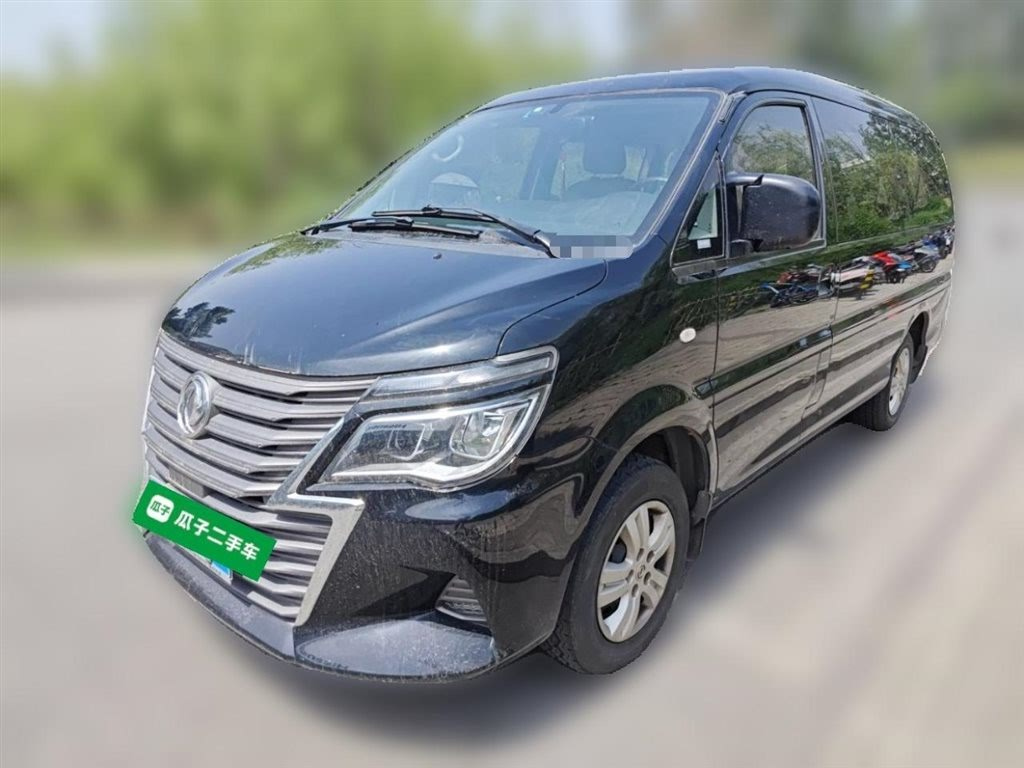 DONGFENG LINGZHI