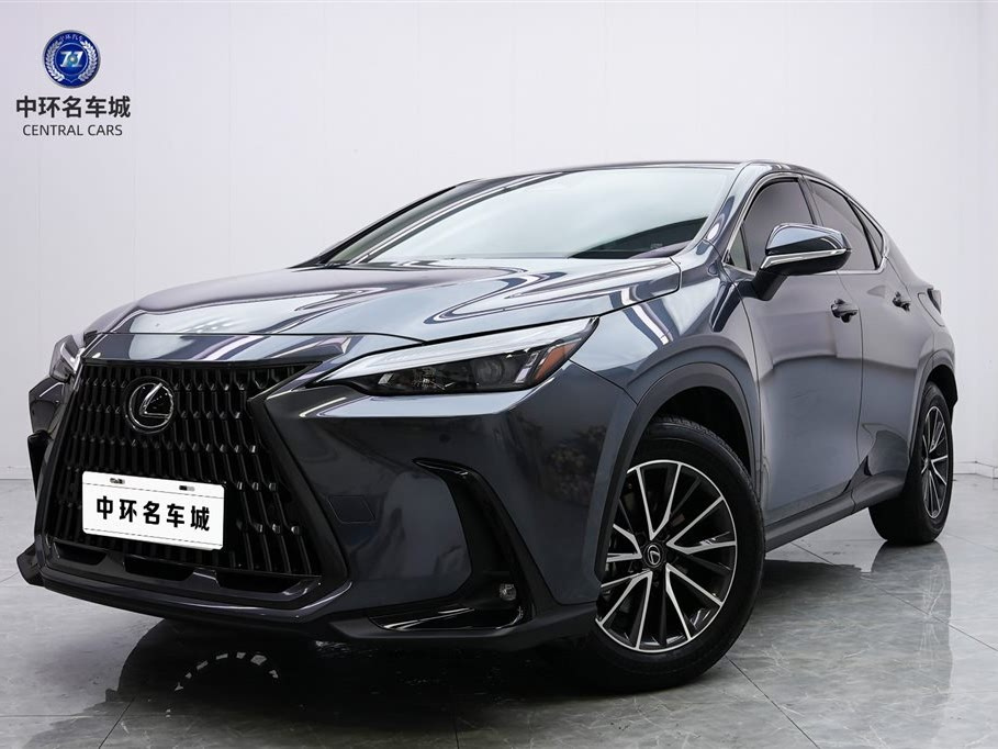 LEXUS NX NEW ENERGY