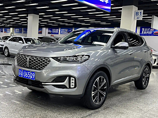 wey vv6