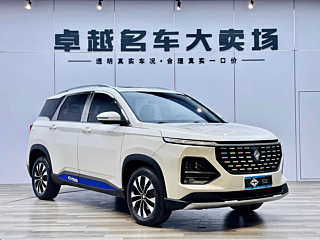 bao-jun 530