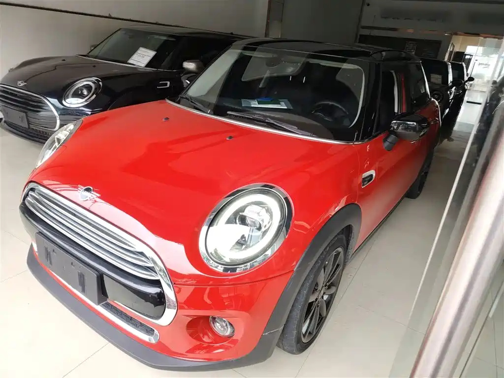 MINI OTHER 2019