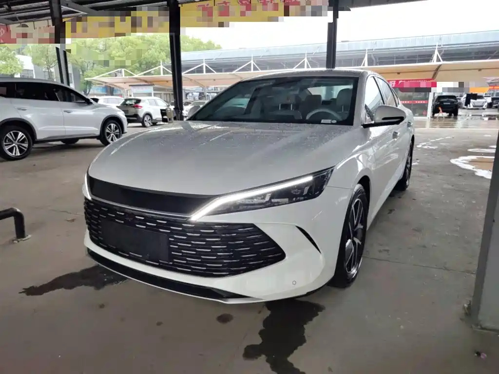 BYD QIN L 2024