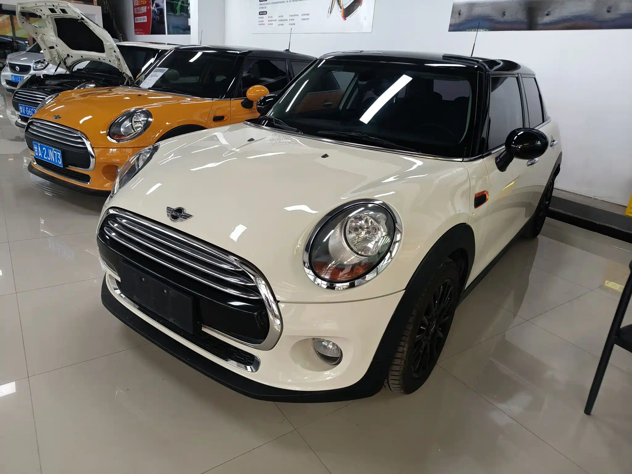 MINI OTHER 2016