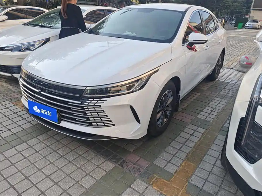 BYD DESTROYER 05 2024
