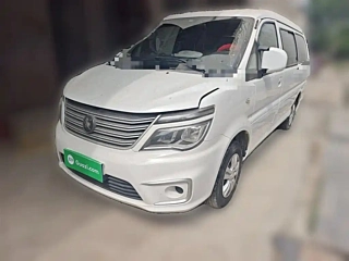 dongfeng lingzhi