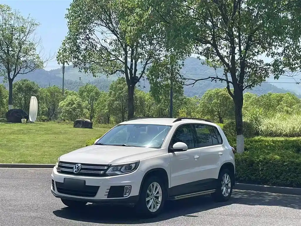 VOLKSWAGEN TIGUAN 2013