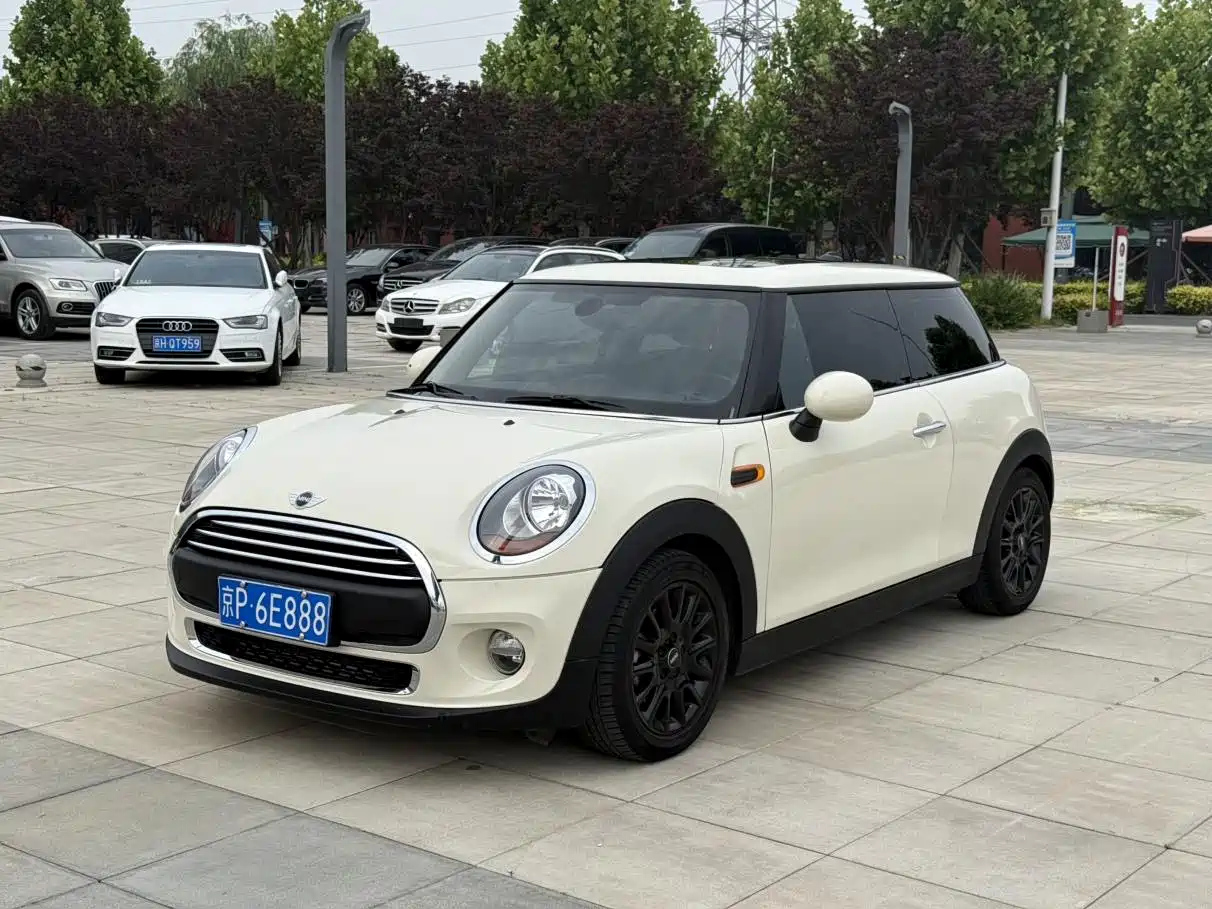MINI OTHER 2016