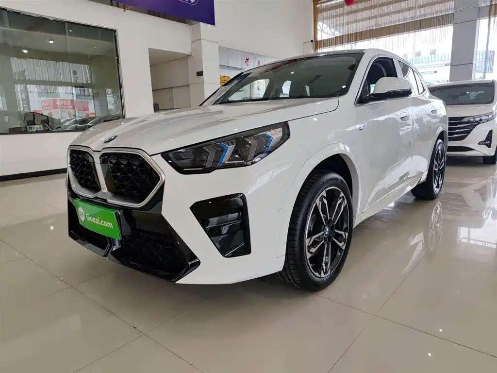 BMW X2 IMPORT 2024