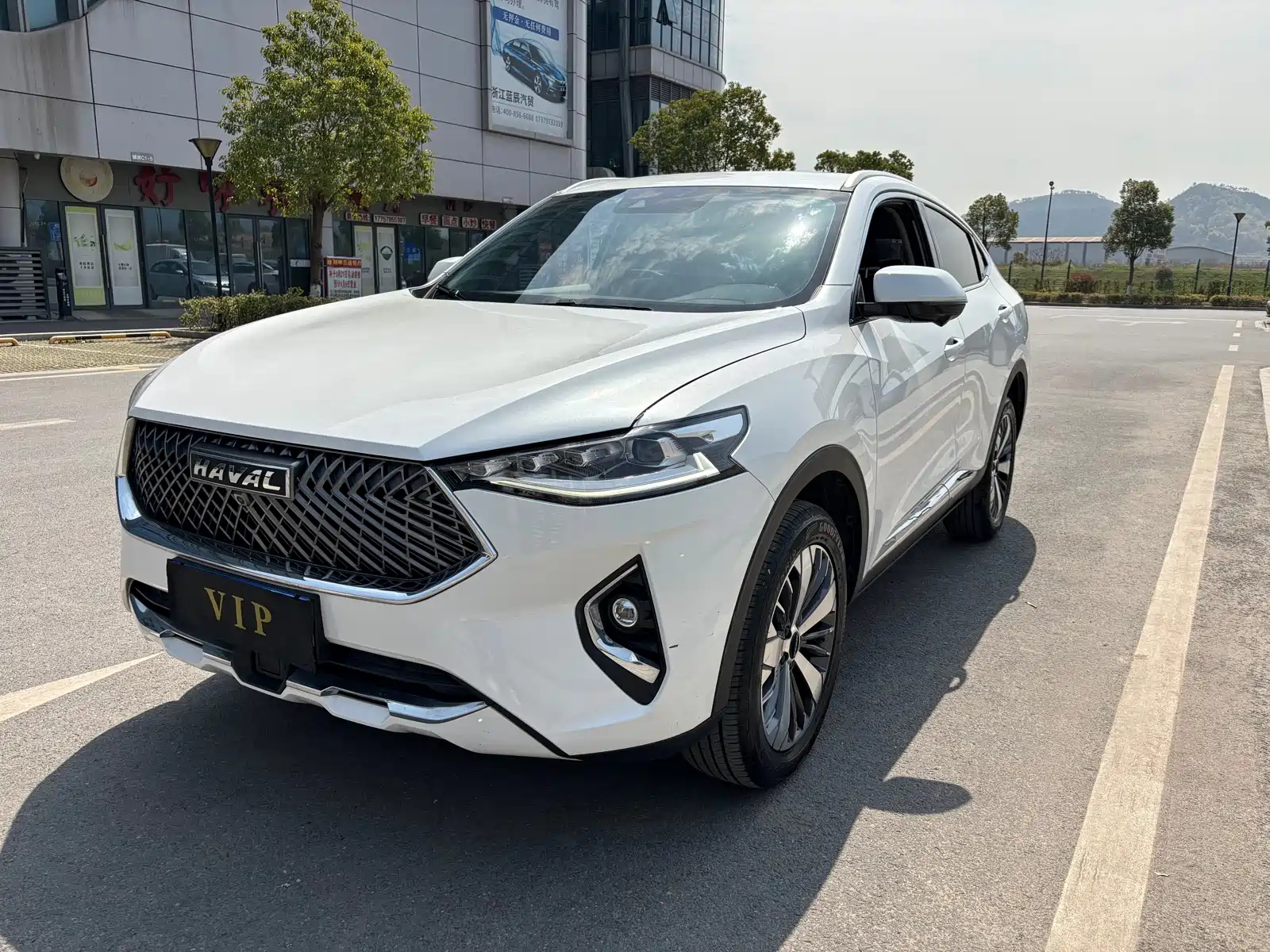 HAVAL F7X 2021
