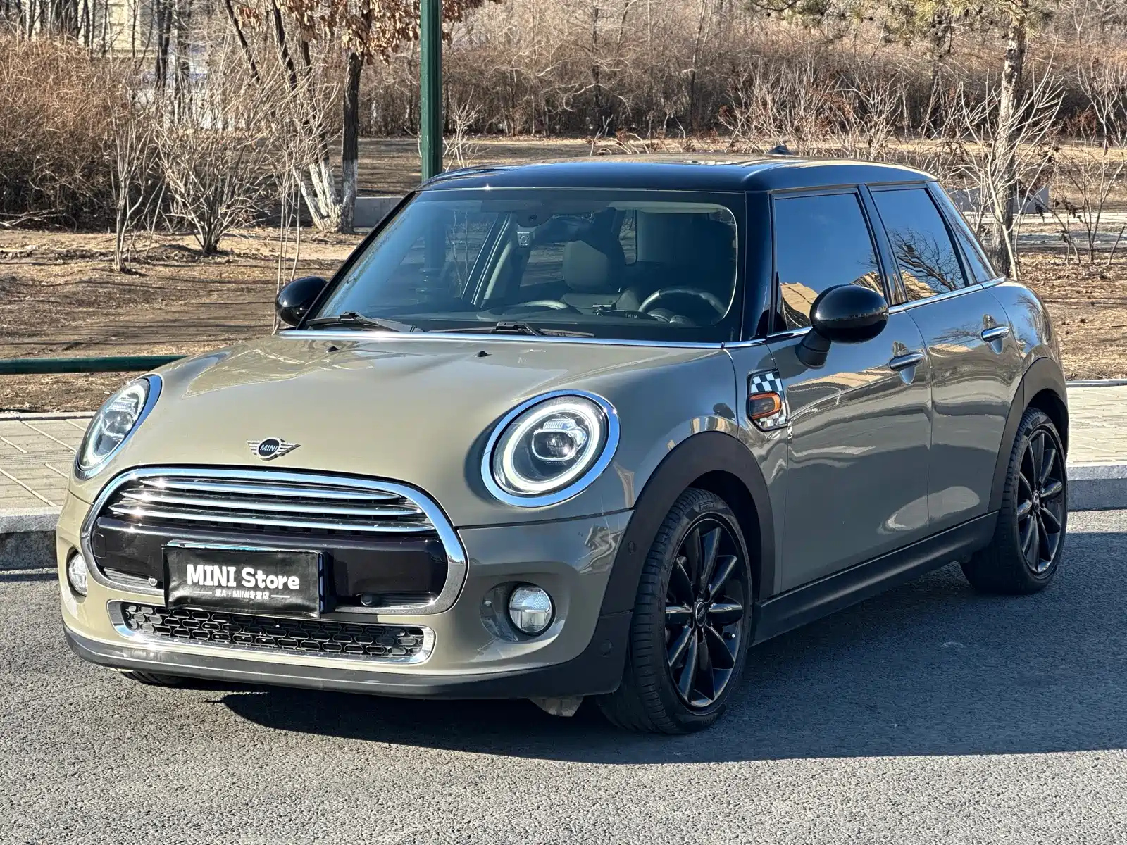MINI OTHER 2019