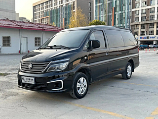 dongfeng lingzhi