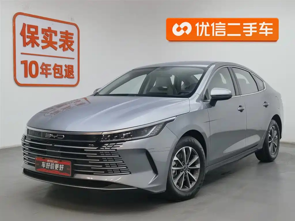 BYD DESTROYER 05 2024