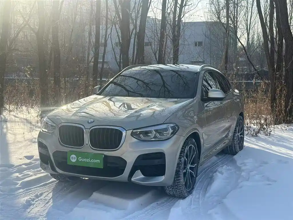 BMW X4 2020