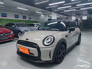 MINI OTHER 2022