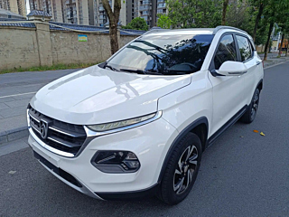 BAO JUN 510  2017