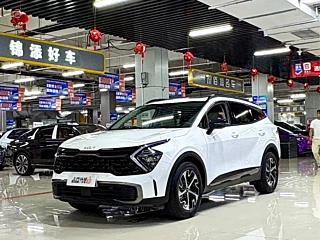 KIA LION PLATINUM &#25299;&#30028  2023