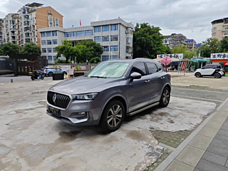 Заказать BORGWARD BX5