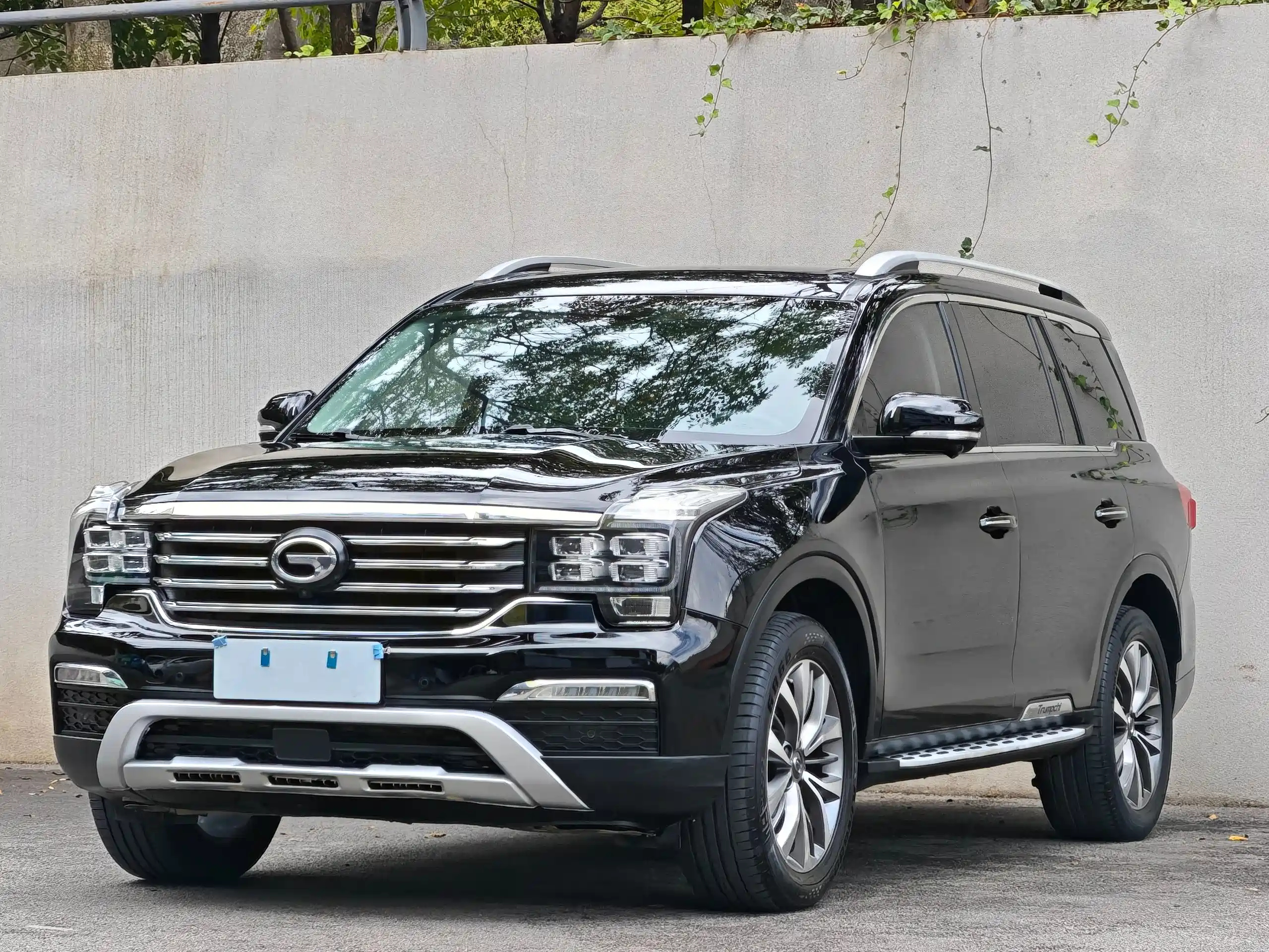 Аукционный лист TRUMPCHI GS8 2018