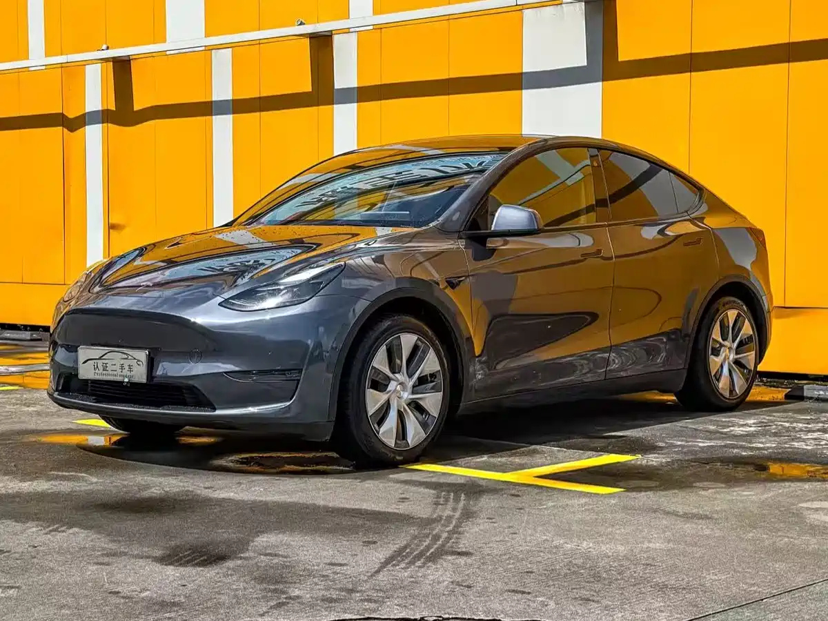 TESLA MODEL Y, 2021 год