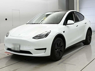 TESLA MODELY