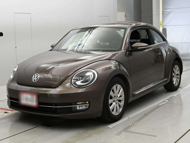 Volkswagen The Beetle