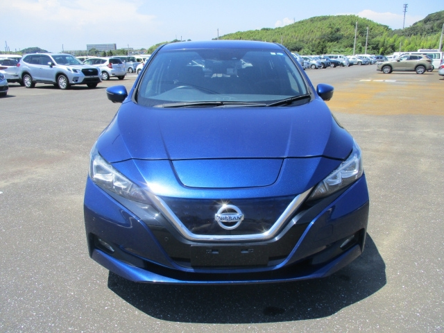 NISSAN LEAF 2018