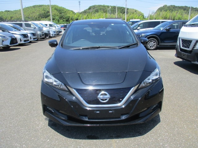 NISSAN LEAF 2018