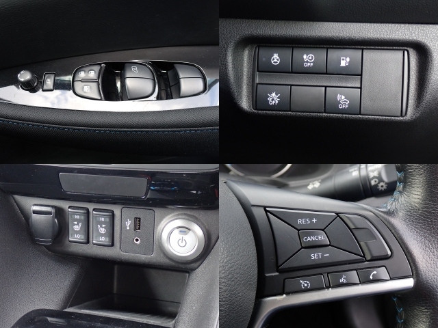NISSAN LEAF 2019