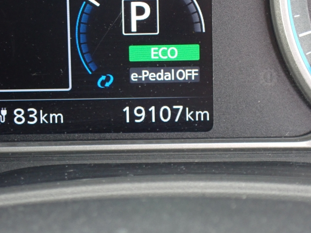 NISSAN LEAF 2019