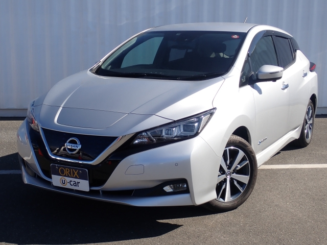 NISSAN LEAF 2019