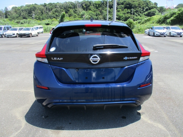 NISSAN LEAF 2018