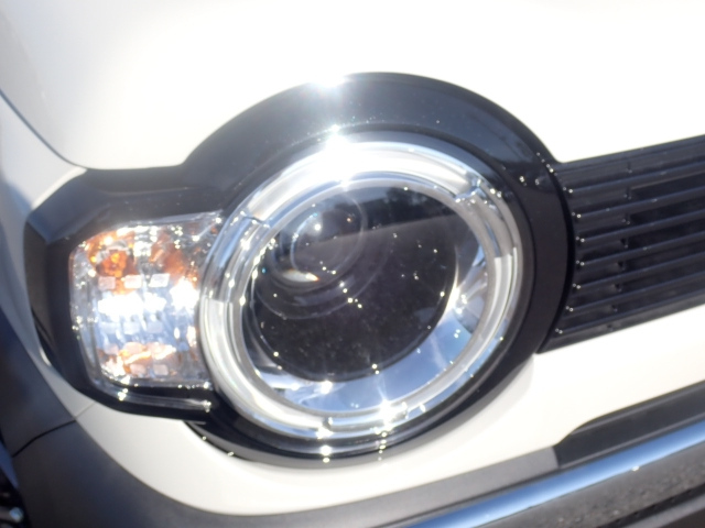 SUZUKI HUSTLER 2025