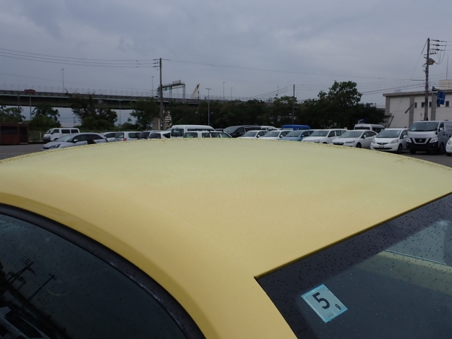 VOLKSWAGEN THE BEETLE 2014