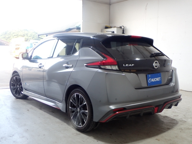 NISSAN LEAF 2019