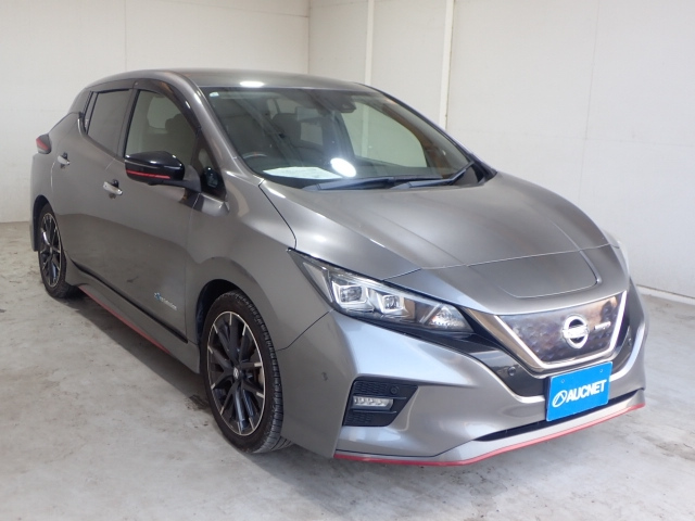 NISSAN LEAF 2019