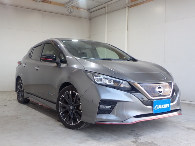 NISSAN LEAF 2019