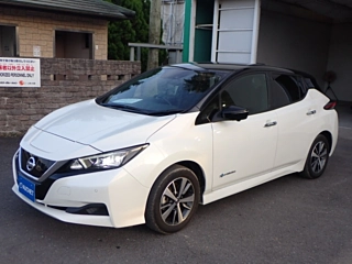 NISSAN LEAF 2019