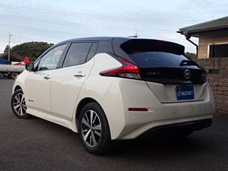 NISSAN LEAF 2019