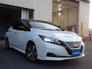 NISSAN LEAF 2019