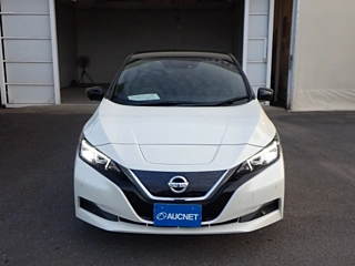 NISSAN LEAF 2019