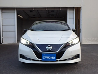 NISSAN LEAF 2019