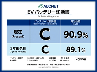 NISSAN LEAF 2019