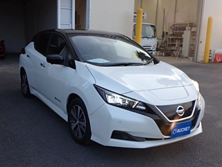 NISSAN LEAF 2019
