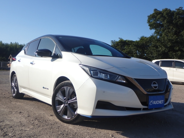 NISSAN LEAF 2021