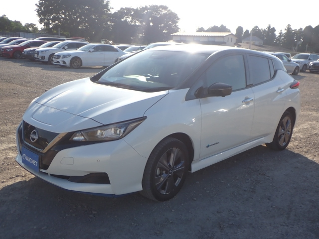 NISSAN LEAF 2021