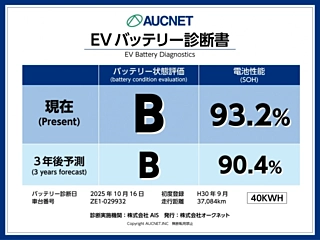 NISSAN LEAF 2018